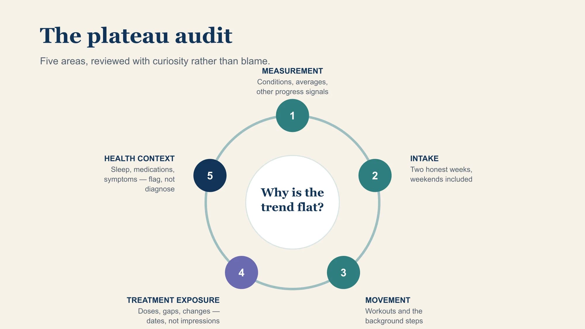 A five-part audit wheel around the question "why is the trend flat?": measurement, intake, movement, treatment exposure, and health context.