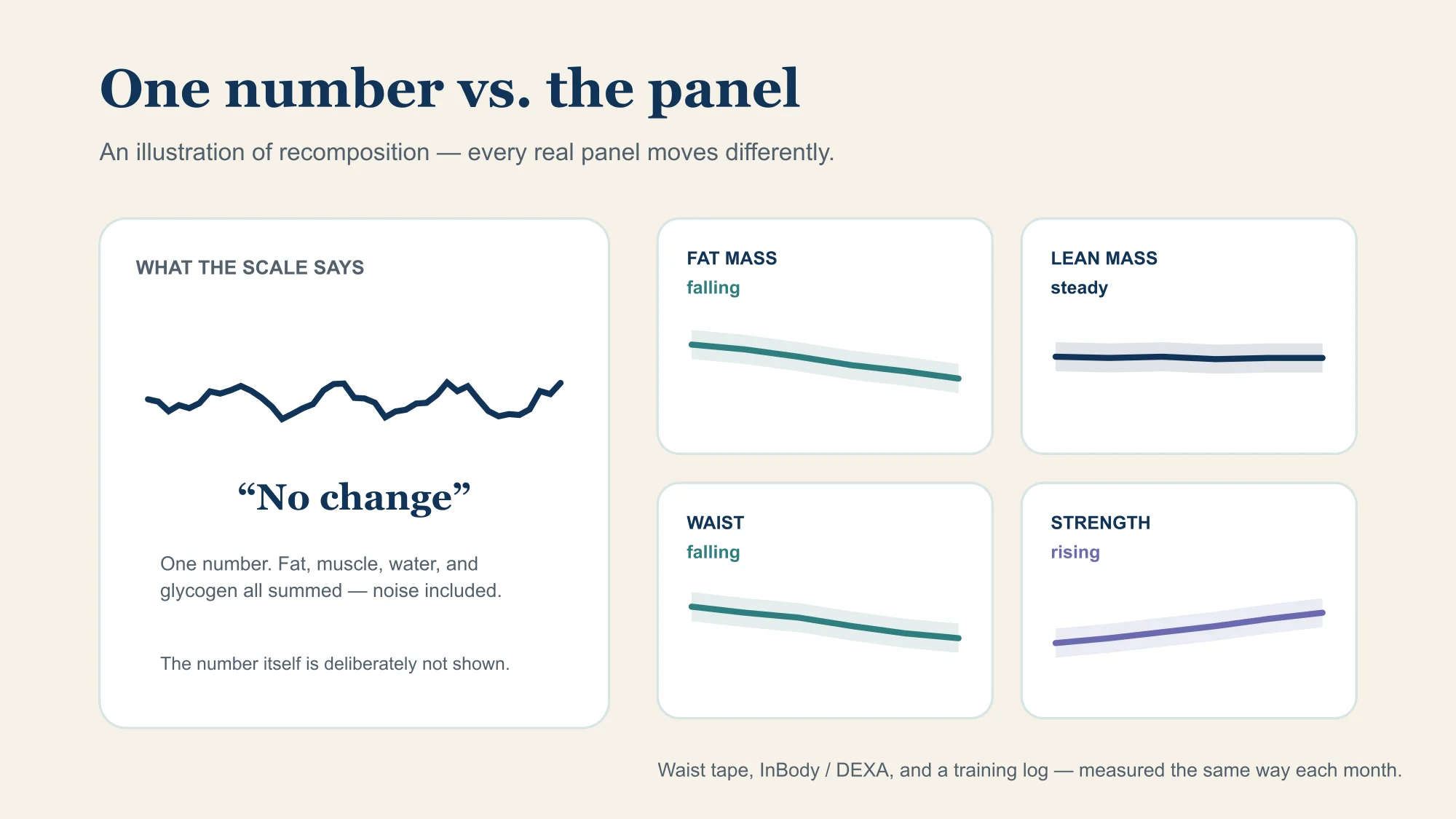 One large scale-weight number beside a panel of separate progress measures — fat mass, lean mass, waist, and strength — each drawn with its own trend and uncertainty band, illustrating that the single number hides the composition underneath.