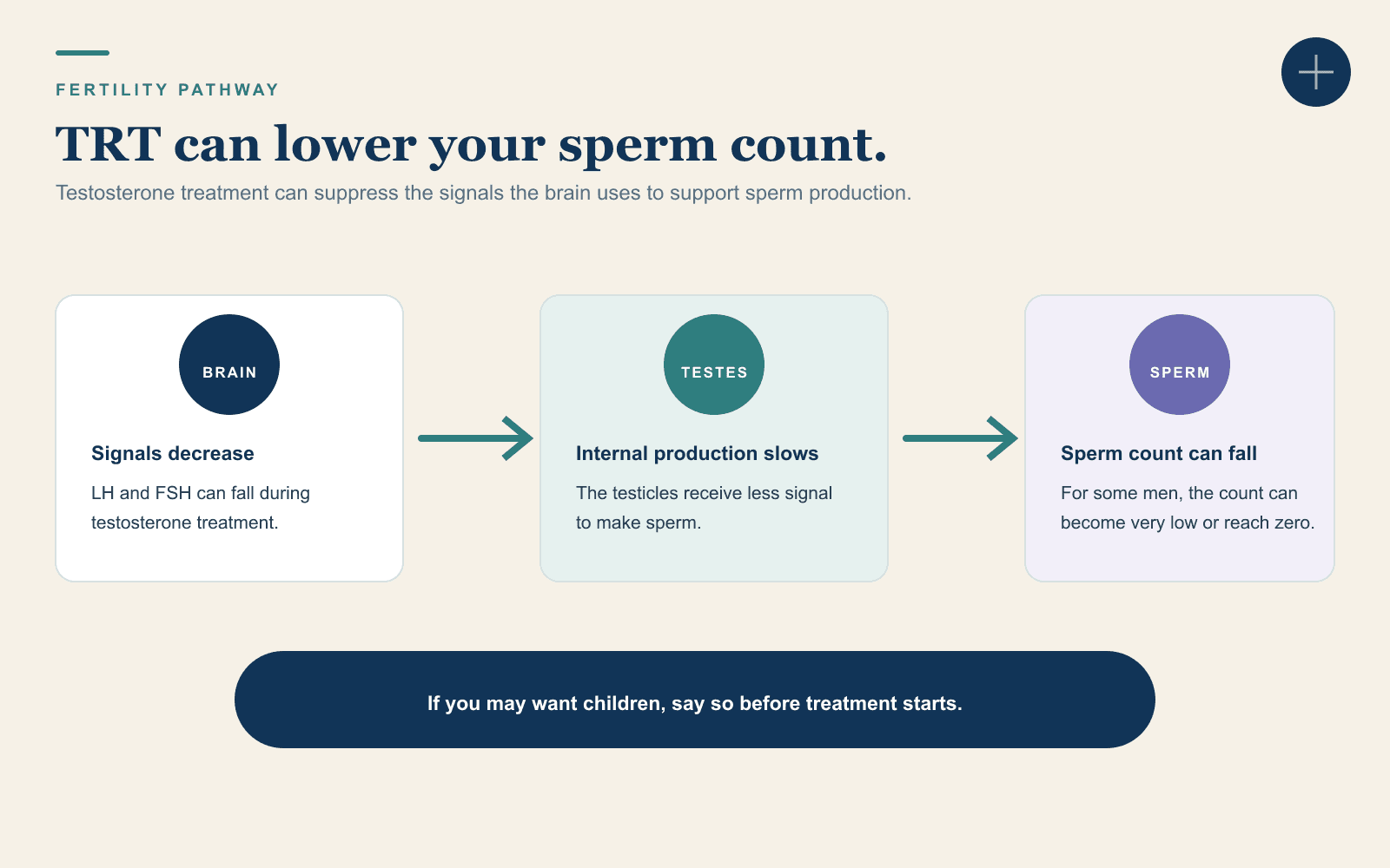 Testosterone treatment can reduce brain signals to the testicles, slow internal testosterone production, and lower sperm count.