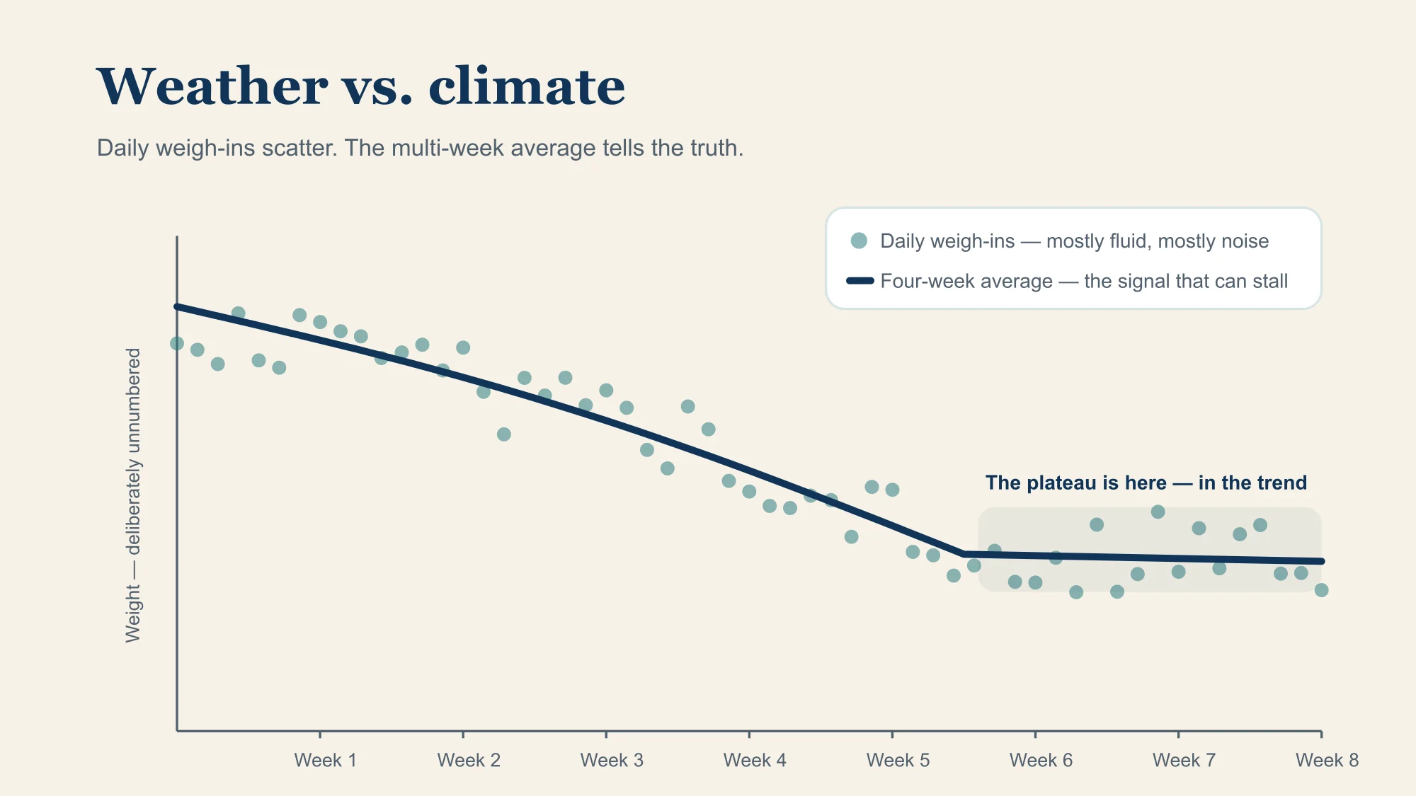 Dots for daily weigh-ins scatter up and down while a four-week average line declines gently and then levels; the flat stretch of the average, not any single day, is the plateau.