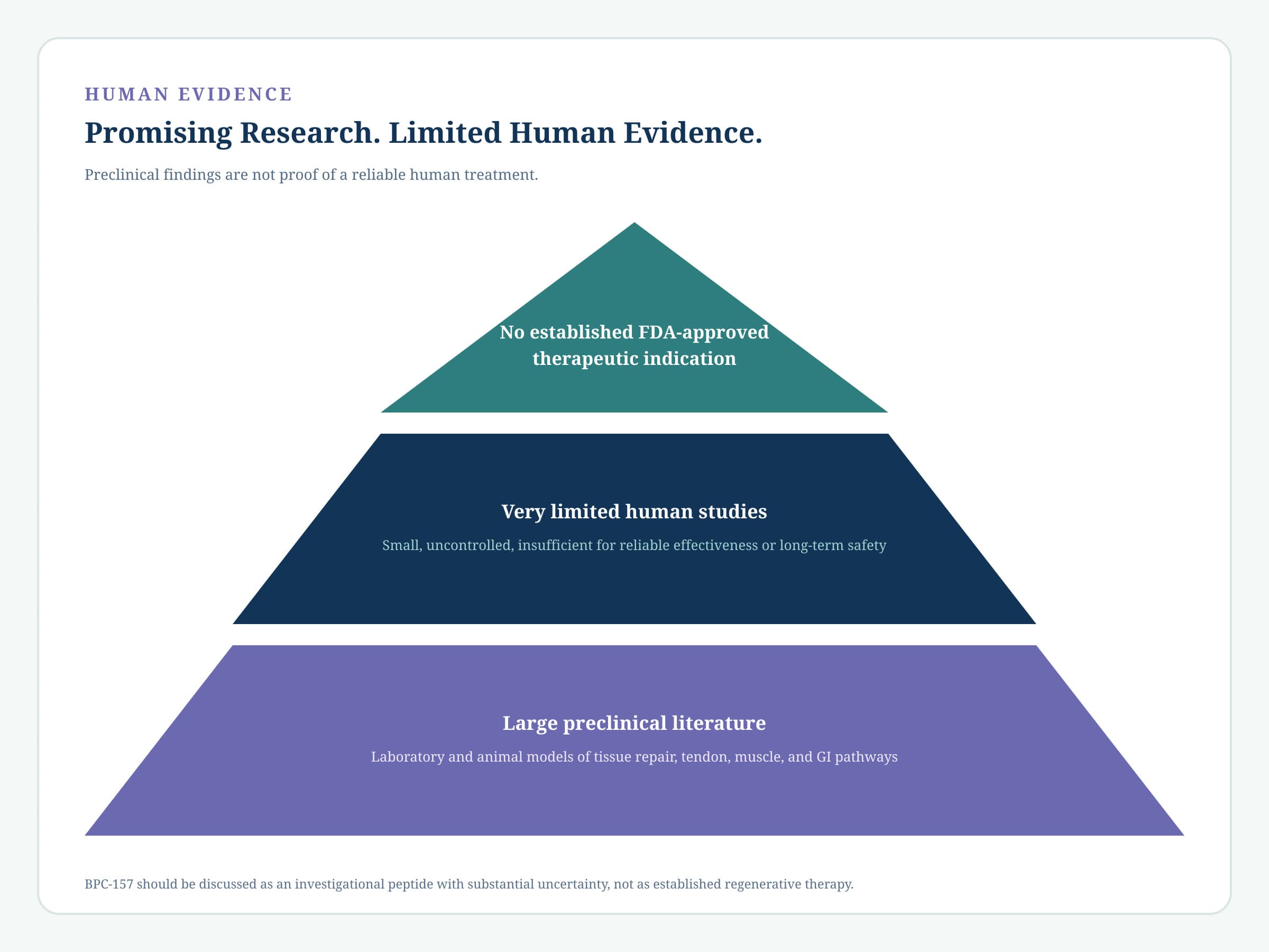 Evidence pyramid labeled Promising Research. Limited Human Evidence, from a large preclinical literature through very limited human studies to no established FDA-approved therapeutic indication