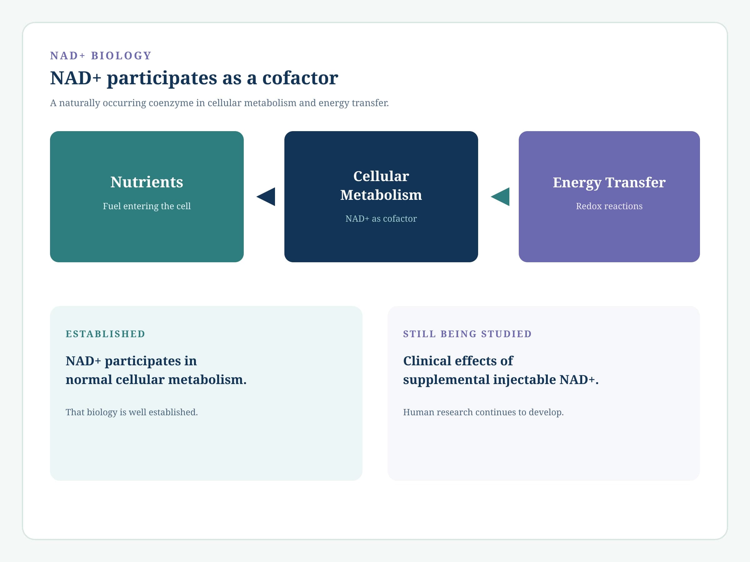 Diagram of nutrients, cellular metabolism, and energy transfer with NAD+ as a cofactor, distinguishing established biology from still-studied injectable effects